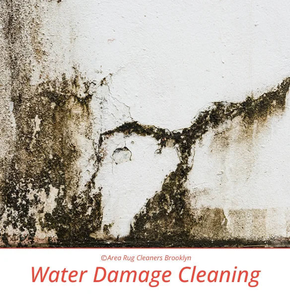Water Damage Cleaning