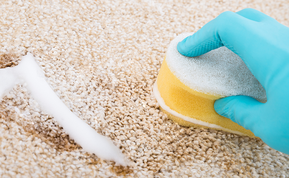 Carpet Cleaning and Why Choose us